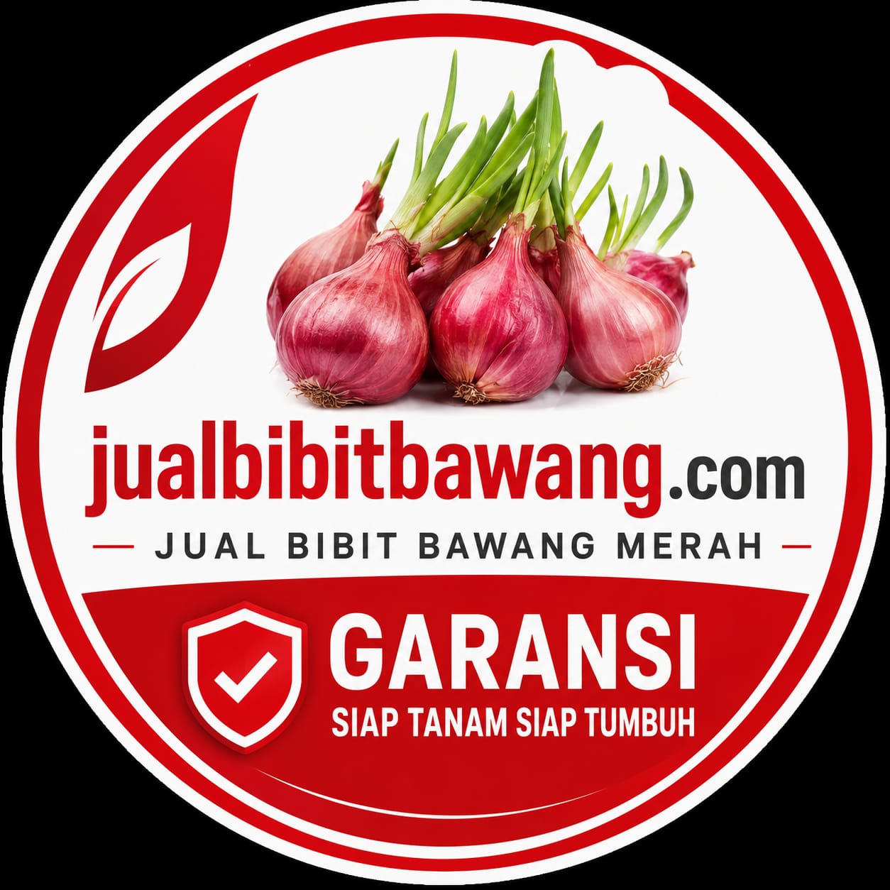 jual bibitbawang merah tajuk dan bauji asli nganjuk