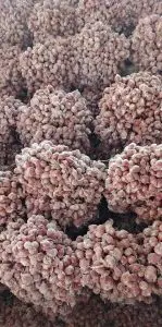 Jual Bibit Bawang Merah Tajuk Bauji Siap Tanam Siap Tumbuh